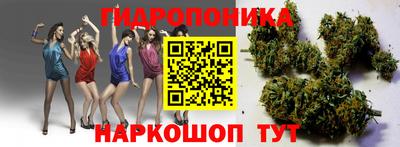 Альфа ПВП Бийск