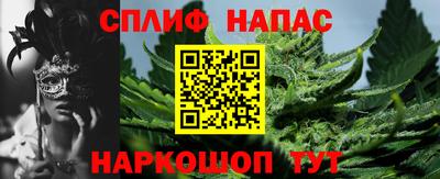 Альфа ПВП Бийск