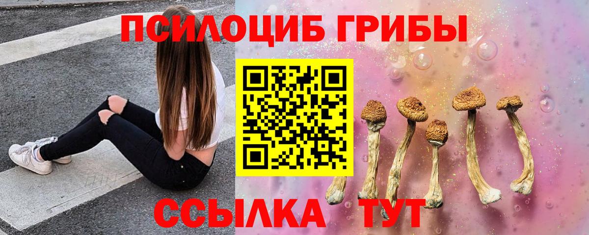 Галлюциногенные грибы Psilocybine cubensis Клин