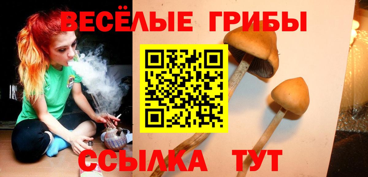 Псилоцибиновые грибы ЛСД  Вход с VPN  Клин  Псилоцибиновые грибы Psilocybe 